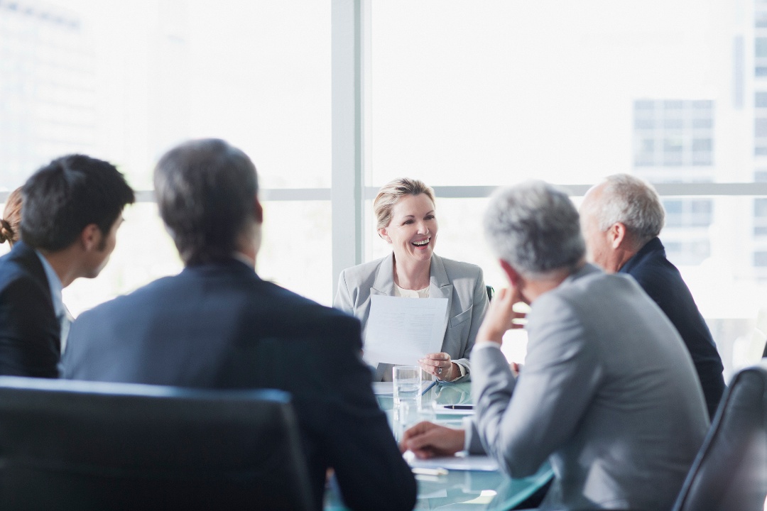 professionals in a board meeting