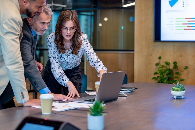 Corporate professional woman and men working together