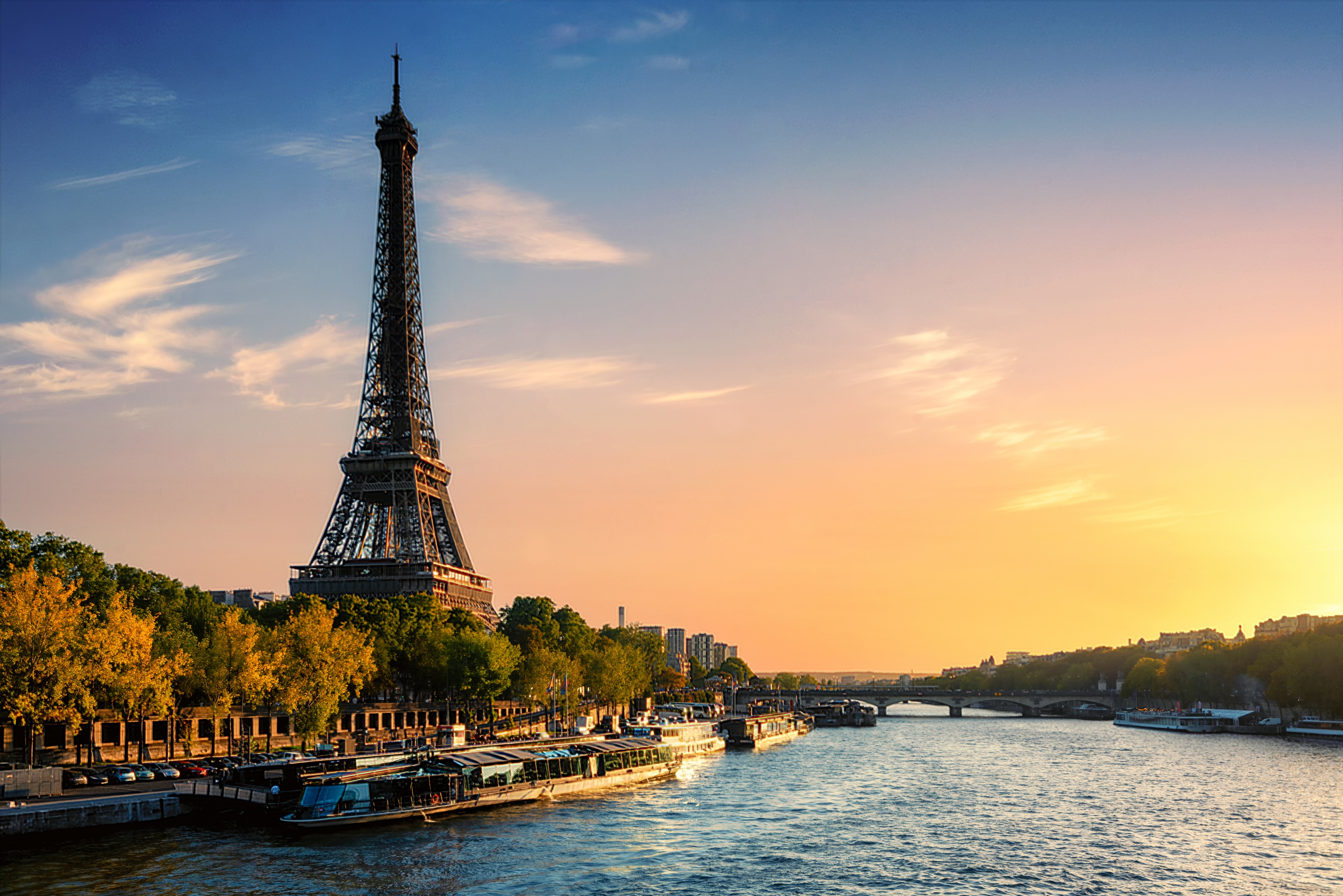 skyline view of the Eiffel tower